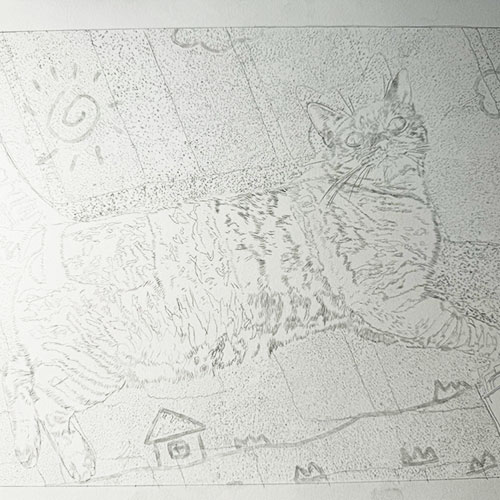 色鉛筆,art,下書き,写実,猫,描写